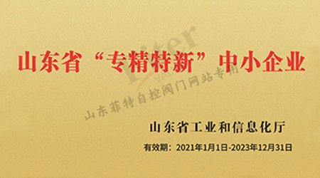 山東2020年度省級“專精特新”中小企業名單公示，菲特榜上有名